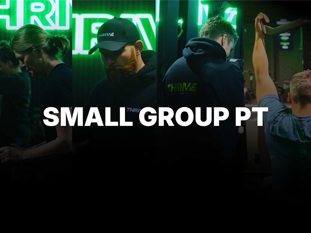 THRIVE SGPT.